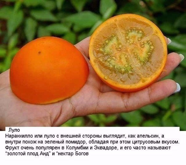 Подборка фото