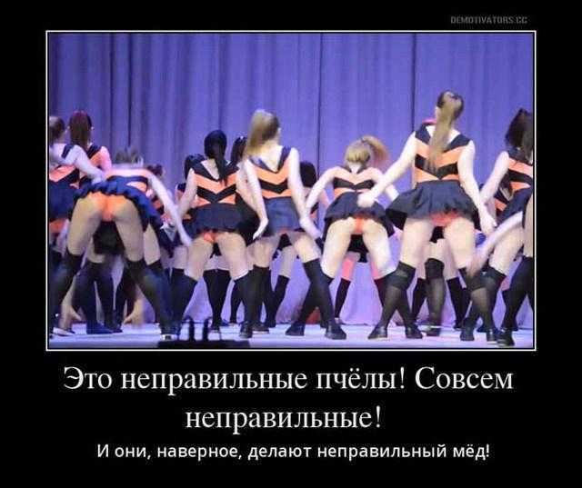 Бразильский метод уничтожения гнезда диких ос