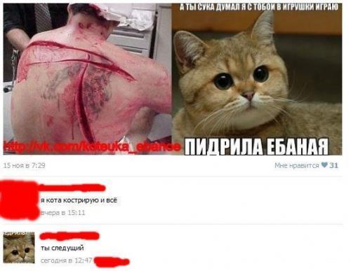 Смешные комментарии из социальных сетей 21.10.2016