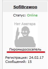 Как я побывал в сетевой пирамиде