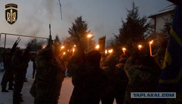 Наглость не всегда второе счастье