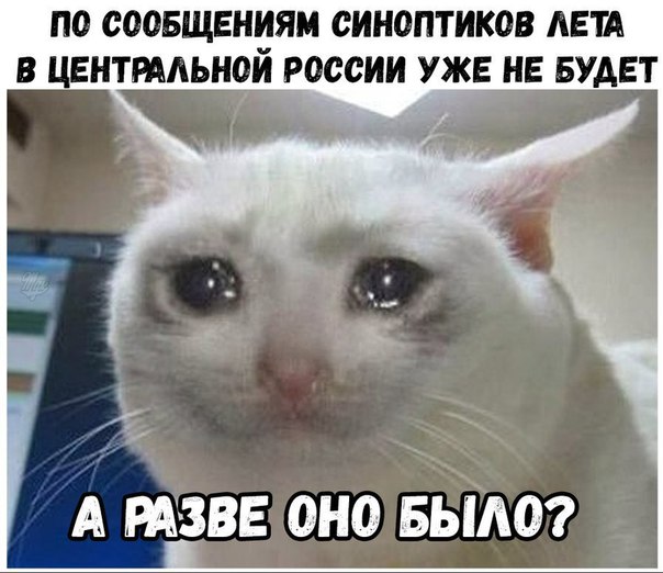 Подборка интересных и веселых картинок