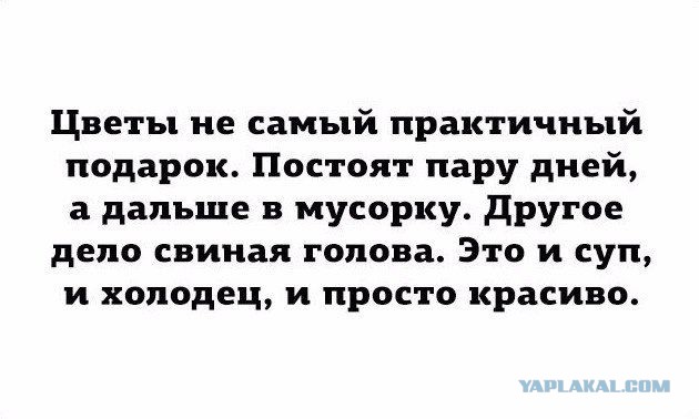 Стоп хам 80 лвл: свиная голова в наказание за парковку