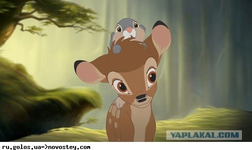 Белые начинают и проигрывают