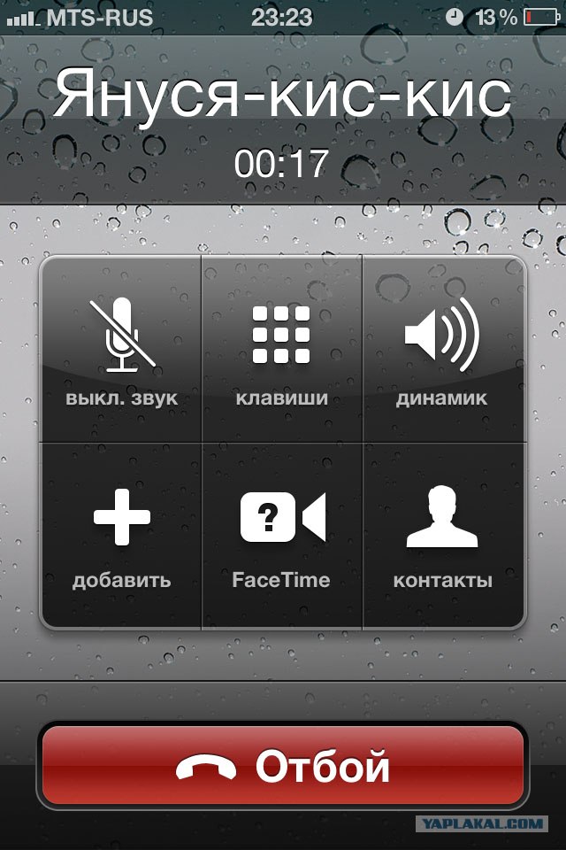 Волшебные грибочки