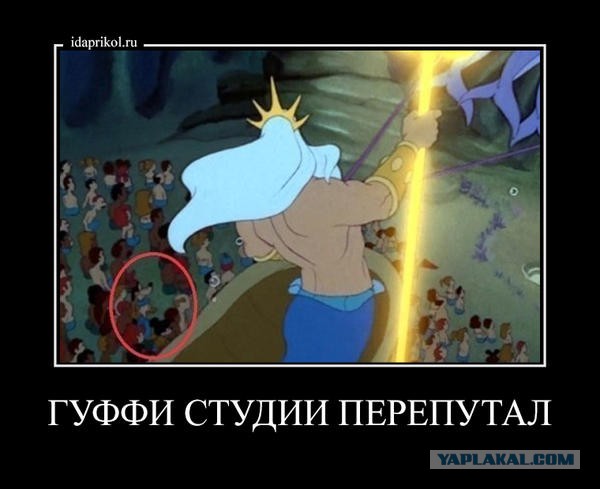 А вот и деградация подтянулась! Ныряем в омут с головой!
