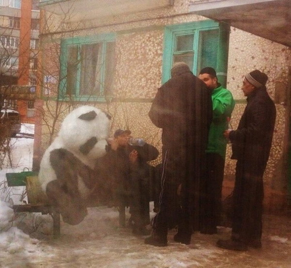 Воскресной ерунды 6 картинок
