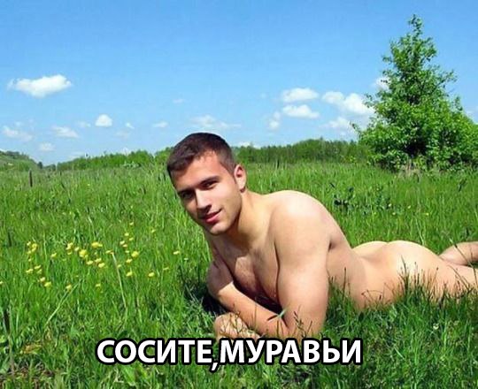 Скотсети и прочие интернеты 04.06.18