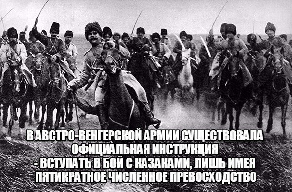 Картинки по-приколу