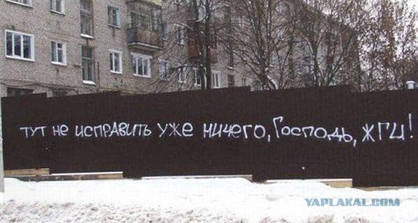 Как Цеповяз в лагере ел икру, или «Мурка любит денежных»