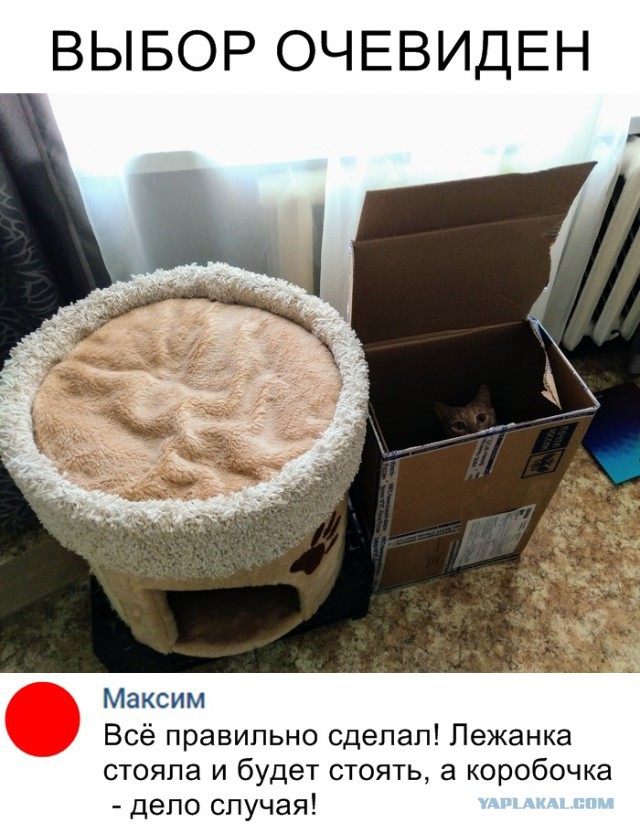 Немного картинок для настроения