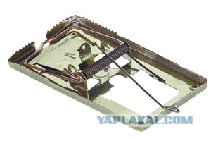 Везучая мышь