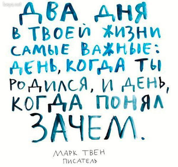 Картинок вам на субботний вечер