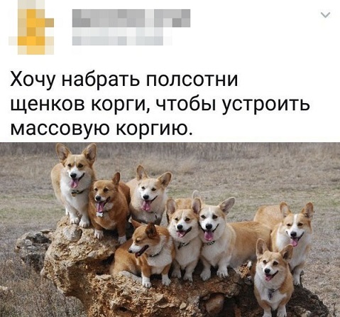 Кривые зеркала