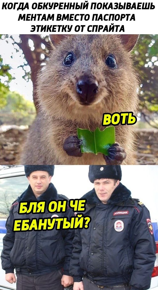 Что делать, если тебя задержали