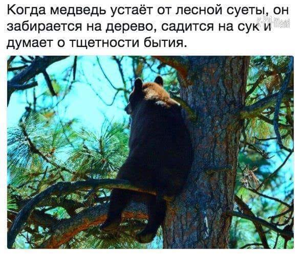 Женщина-загадка Анна Чапман