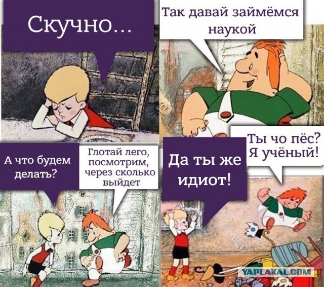 Картинки с надписями, истории и анекдоты 01.10.19