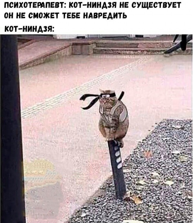 У одинокого самурая свой путь. Его цель будет достигнута!