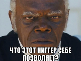 Медведь балдеет