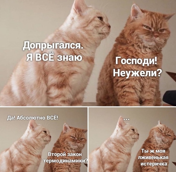 Немного картинок для настроения 12.05.20