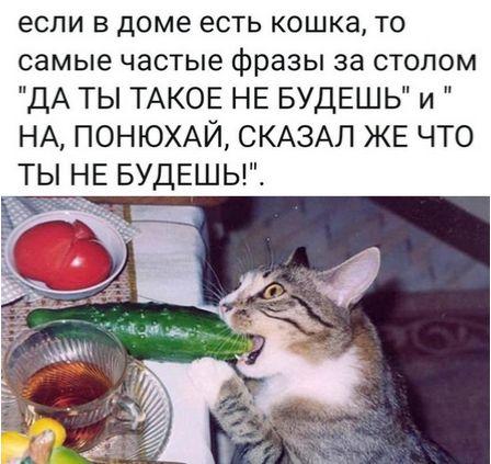 Юмор в картинках 19.08.20
