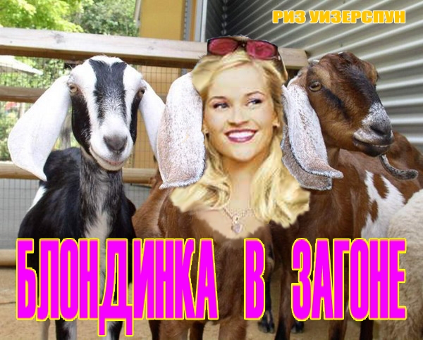 Фотожаба на фильмы, снова!