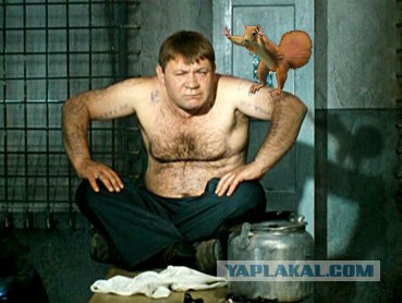 Фотожаба: Белка как бы говорит нам...