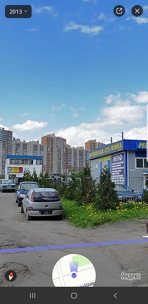 У жителей Приморского района Петербурга украли елки, чтобы посадить их у храма