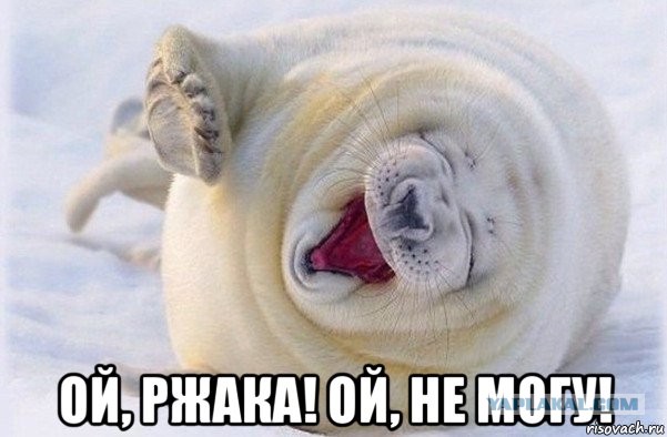 Признания мужчин, простивших жёнам измену (случаи из практики)