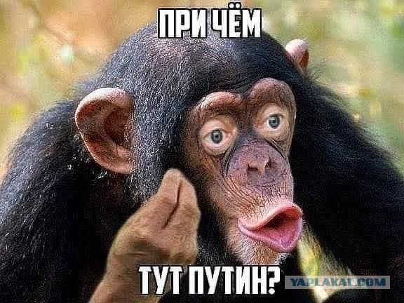 Когда почувствовал себя россиянином