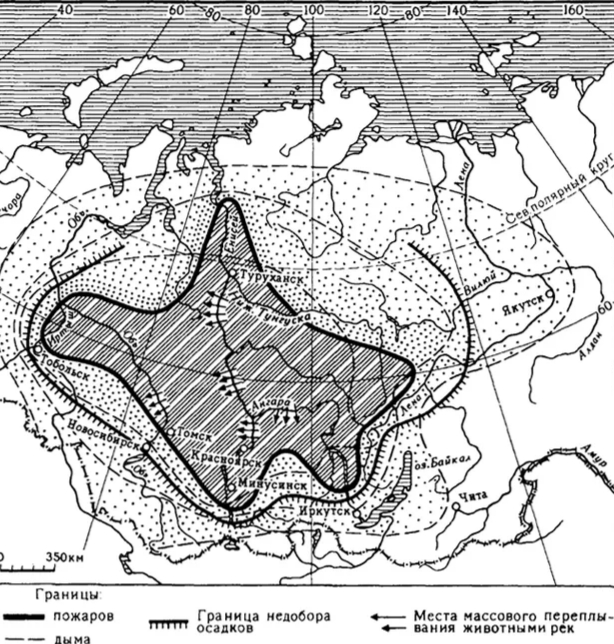 Российские леса постоянно горят, но их биомасса рекордно выросла. Как так вышло и что из этого следует?