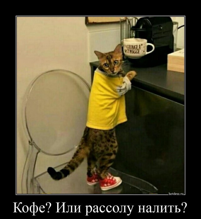 Не важно сколько у неё было, главное быть лучшим?