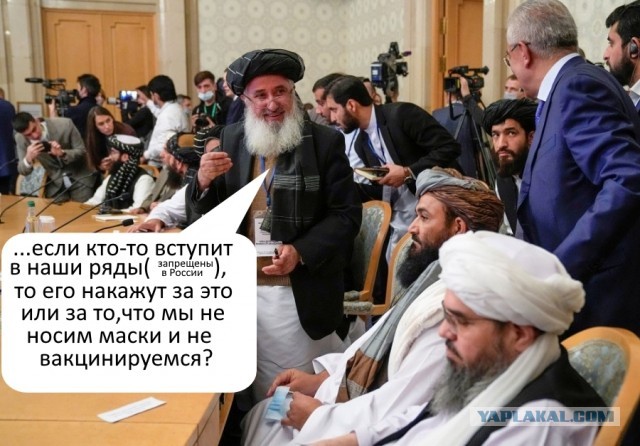 Субботнее утро в Австралии - люди отдыхают в парке, некоторые носом в асфальт