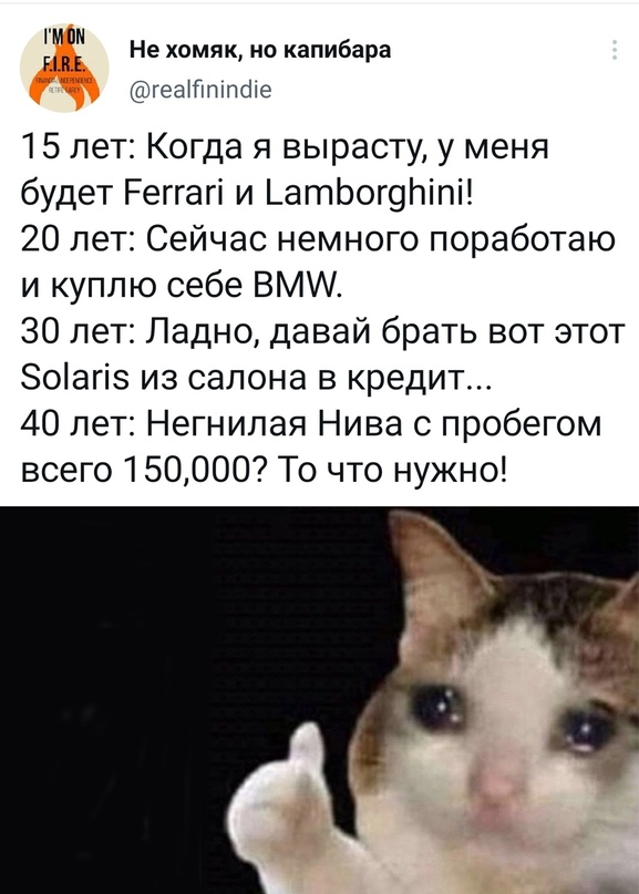 Весёлый полтишок 11.11