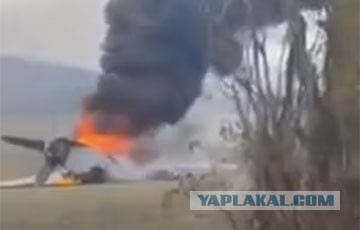 «Утята» прилетели