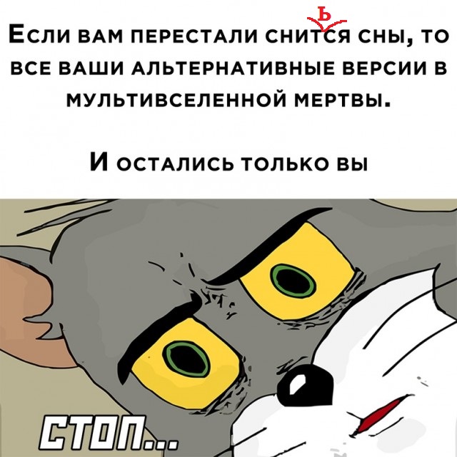 Весёлый полтишок 5.08.22
