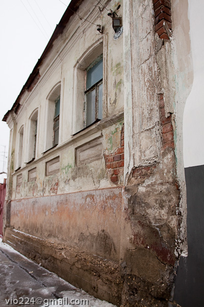 Елец зимний