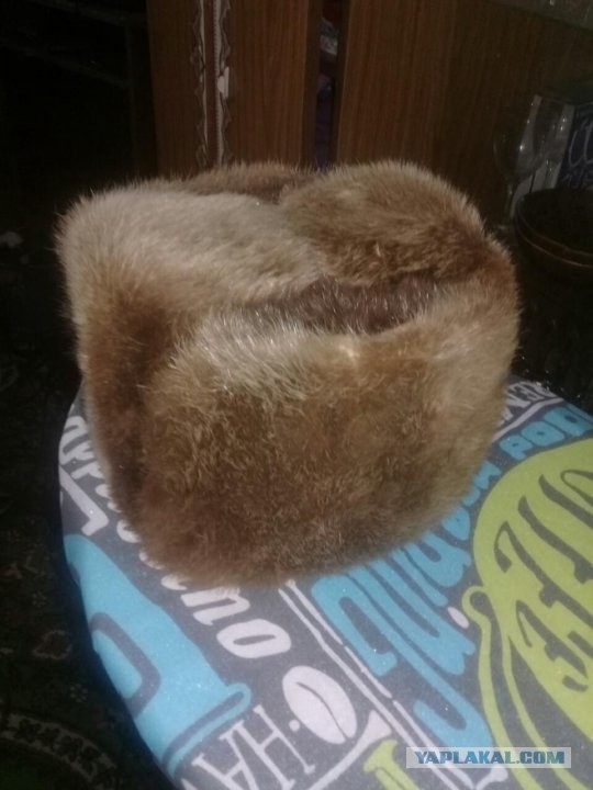 Дорога к бобру