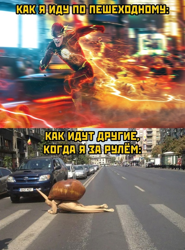 Весёлый полтишок 31.01.23