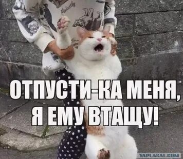 А вот я согласен!