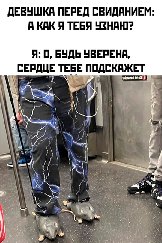 Весёлый полтишок 17.06.24
