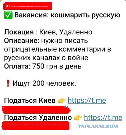 Зеленский — о переговорах США и России