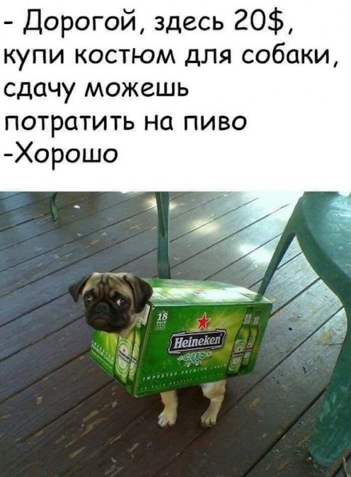 Пивная Пятничная подборка