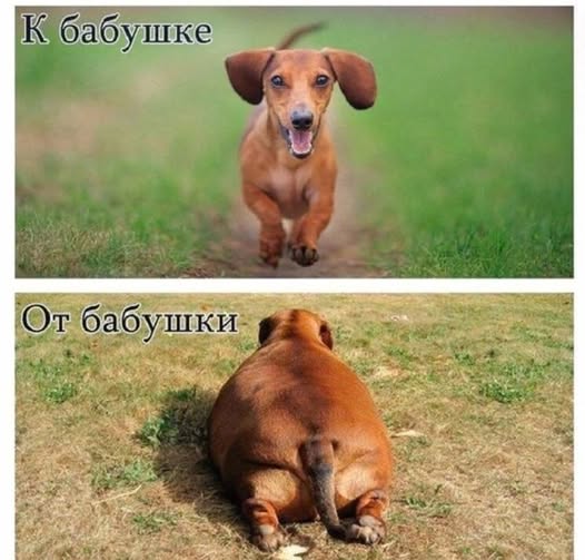 Рокк ебол и всё такое