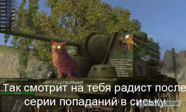 Фотожаба: Злой Кот