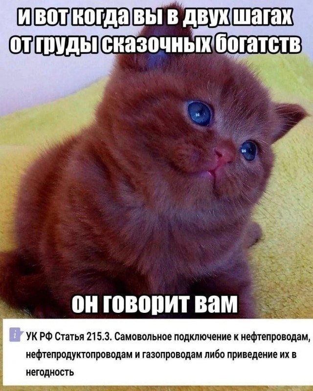 Так себе картинки 04.11.25