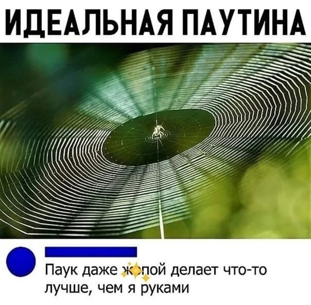 Пятницы картинки
