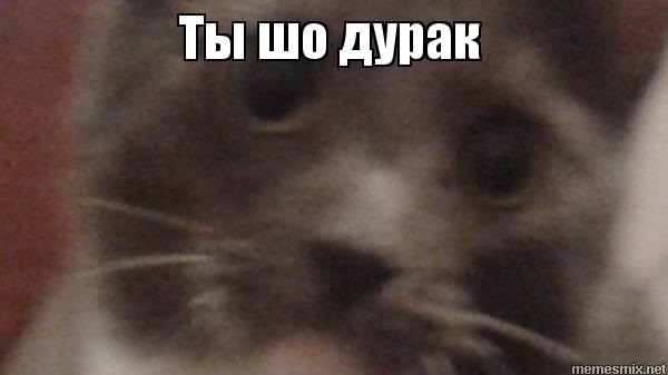 Внезапно.