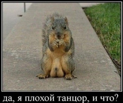 Субботние картинки