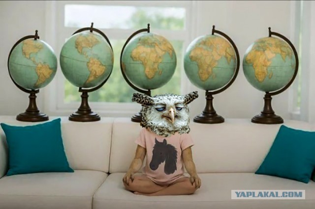 Учёные в шоке: именно «совы» спасли человечество от вымирания. И вот доказательства